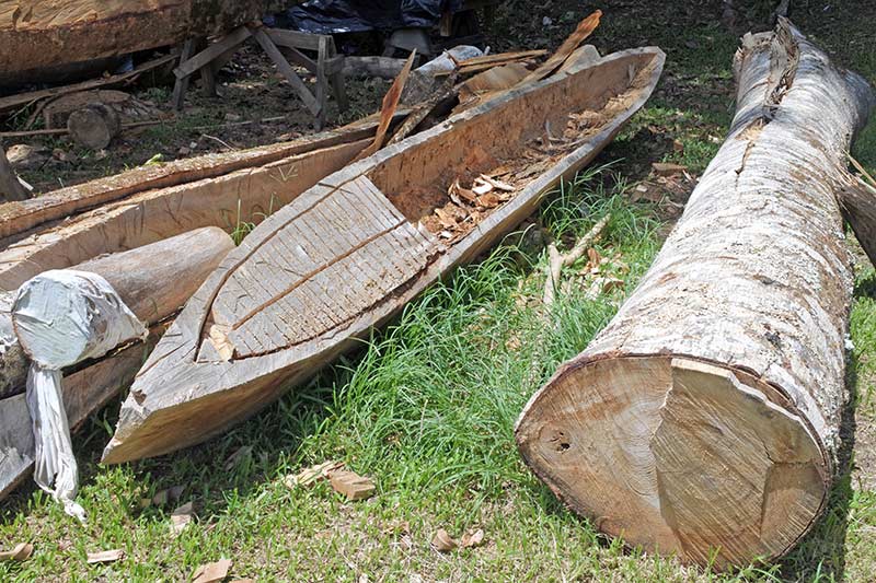 Who invented the canoe? It was likely that the first canoes were primitive dugout canoes.